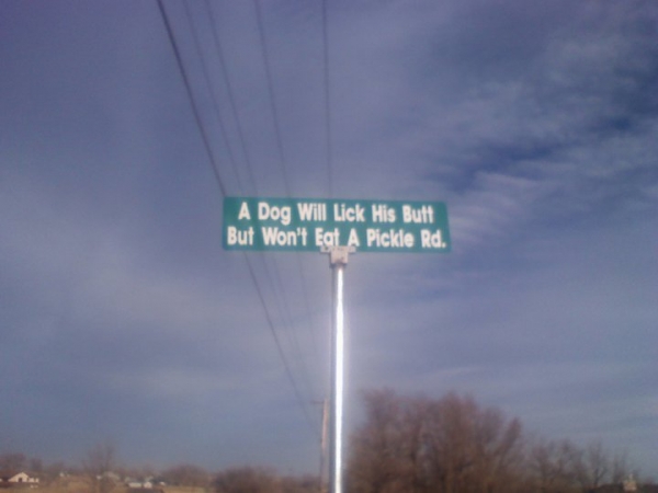 A dog will lick his butt but won't eat a pickle rd.